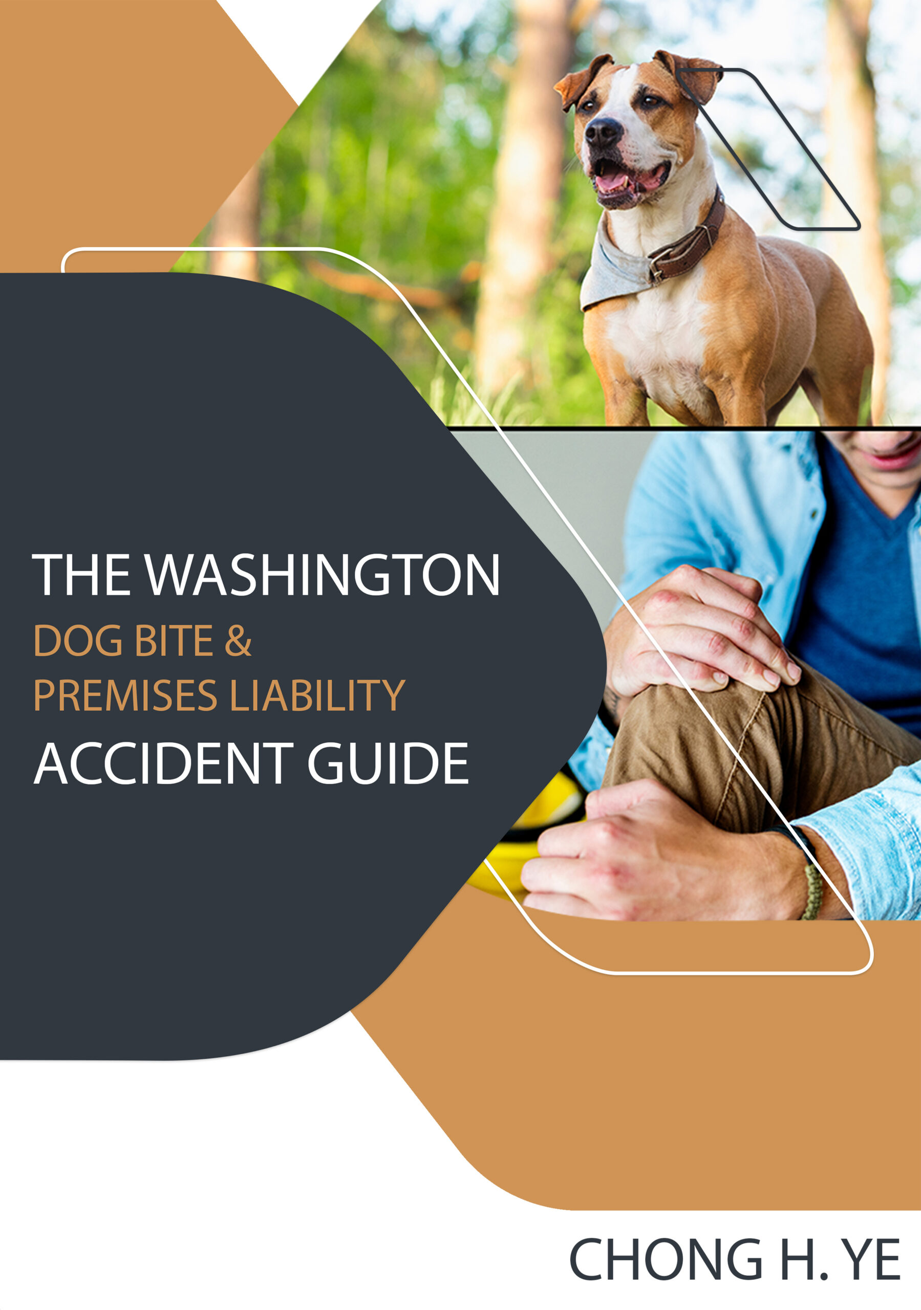 The Washington Dog Bite and Premises Liability Accident Guide